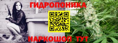 гашик Кунгур