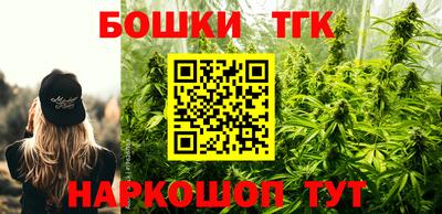 гашик Кунгур