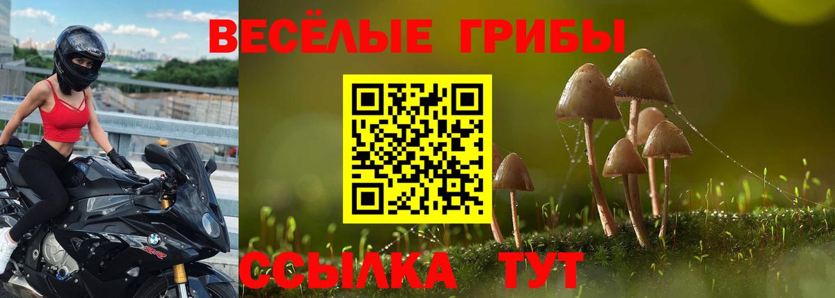 Галлюциногенные грибы мухоморы  Псилоцибиновые грибы Psilocybine cubensis  Вход с VPN  Звенигород 